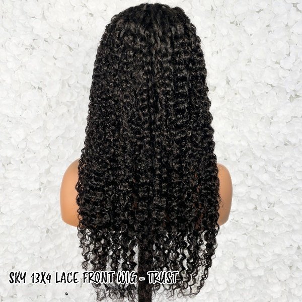 SKY 100% Human Hair 13x4 Lace Front Wig - TRUST_3